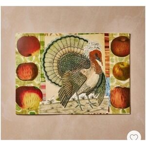 John Derian Target Kids Fall Thanksgiving Turkey Coloring Placemat PRIORITY SHIP